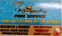 B Picky Pool Cleaning  image 4